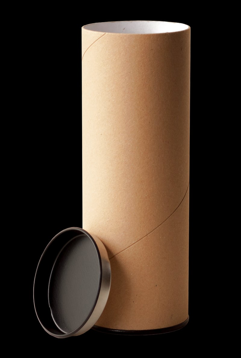 Cardboard Tube Binoculars